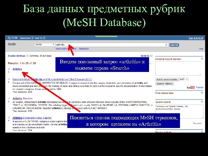 База данных предметных рубрик (Me. SH Database) Введем поисковый запрос «arthritis» и нажмем справа