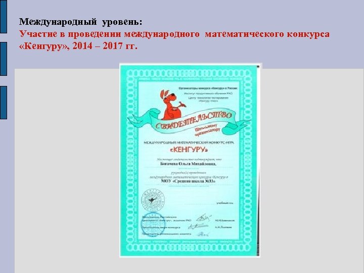 Международный уровень: Участие в проведении международного математического конкурса «Кенгуру» , 2014 – 2017 гг.