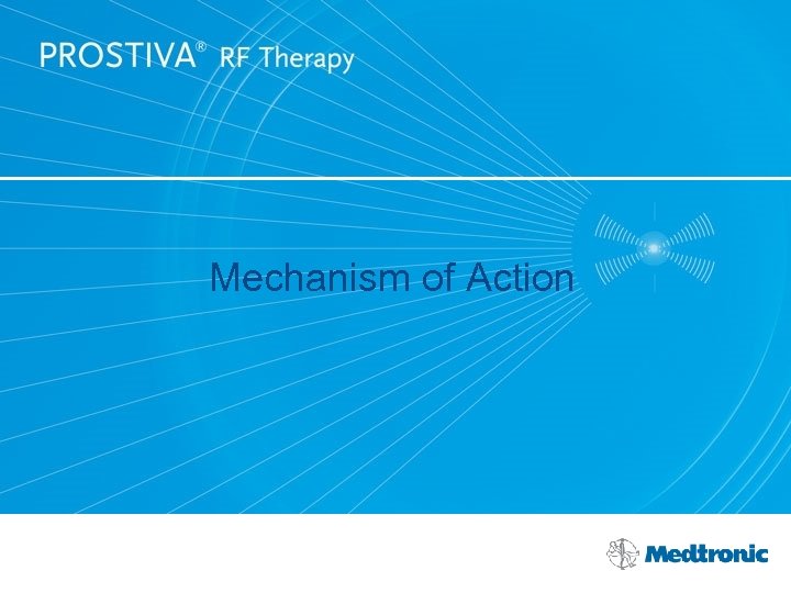 Mechanism of Action 