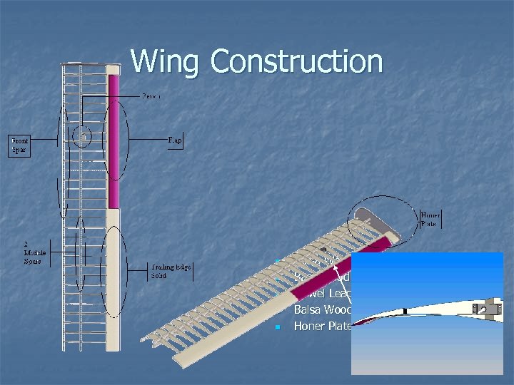 Wing Construction n n n Balsa Wood Risers Bass Wood Spars Dowel Leading Edge