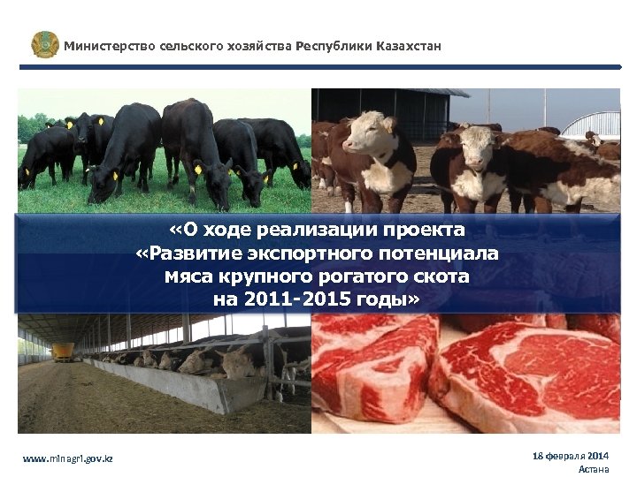Министерство сельского хозяйства Республики Казахстан «О ходе реализации проекта «Развитие экспортного потенциала мяса крупного