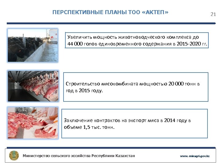 ПЕРСПЕКТИВНЫЕ ПЛАНЫ ТОО «АКТЕП» 21 Увеличить мощность животноводческого комплекса до 44 000 голов единовременного