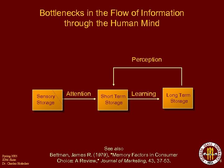 Bottlenecks in the Flow of Information through the Human Mind Perception Sensory Storage Spring