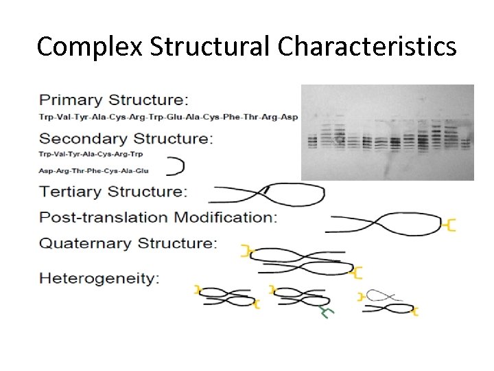 Complex Structural Characteristics 
