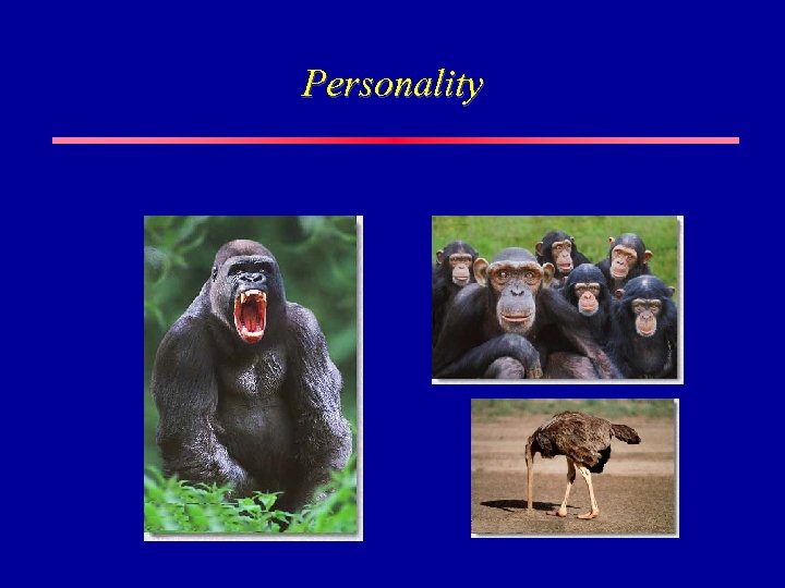 Personality 