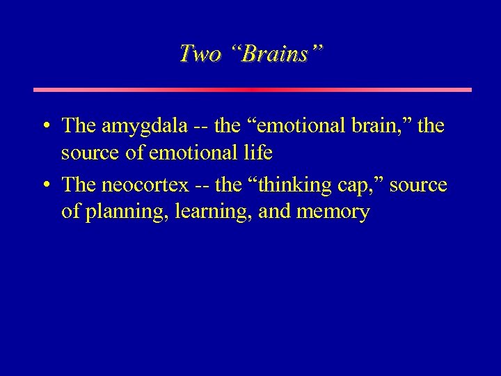Two “Brains” • The amygdala -- the “emotional brain, ” the source of emotional