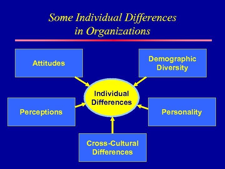 Some Individual Differences in Organizations Demographic Diversity Attitudes Individual Differences Perceptions Personality Cross-Cultural Differences