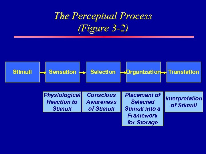 The Perceptual Process (Figure 3 -2) Stimuli Sensation Selection Physiological Reaction to Stimuli Conscious