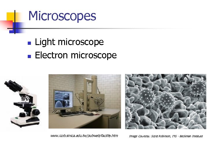 Microscopes n n Light microscope Electron microscope www. icob. sinica. edu. tw/pubweb/facility. htm Image