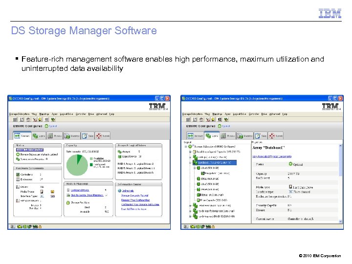 DS Storage Manager Software § Feature-rich management software enables high performance, maximum utilization and