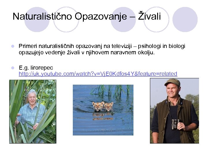 Naturalistično Opazovanje – Živali l Primeri naturalističnih opazovanj na televiziji – psihologi in biologi