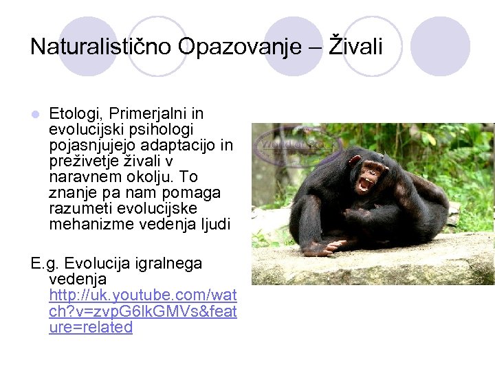 Naturalistično Opazovanje – Živali l Etologi, Primerjalni in evolucijski psihologi pojasnjujejo adaptacijo in preživetje