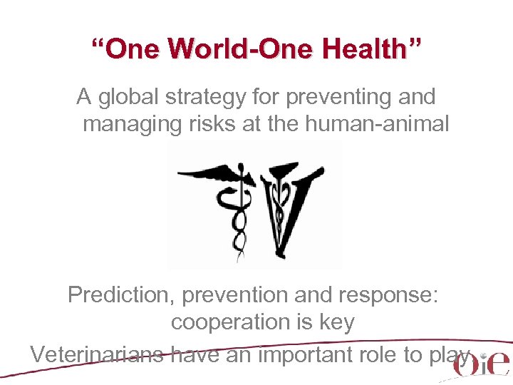 “One World-One Health” A global strategy for preventing and managing risks at the human