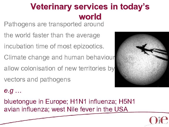 Veterinary services in today’s world Pathogens are transported around the world faster than the
