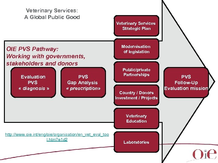 Veterinary Services: A Global Public Good Veterinary Services Strategic Plan OIE PVS Pathway: Working