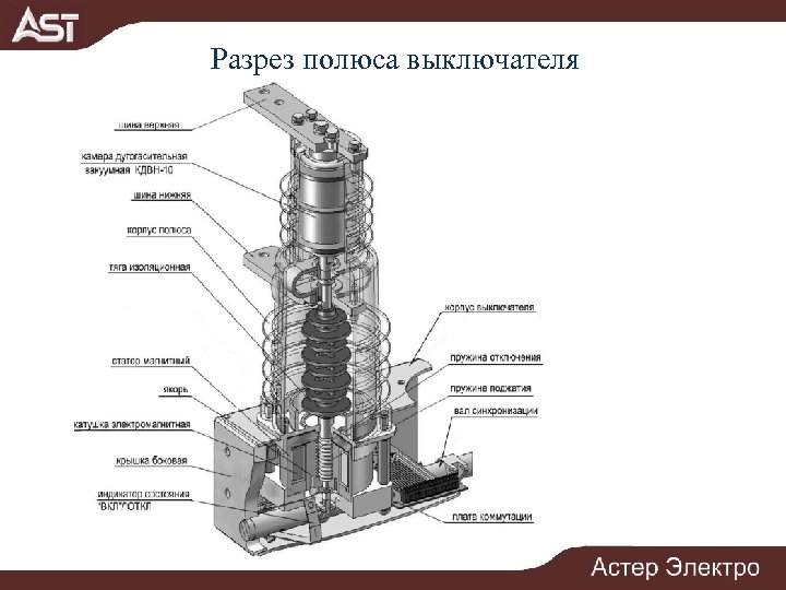 Разрез полюса выключателя 