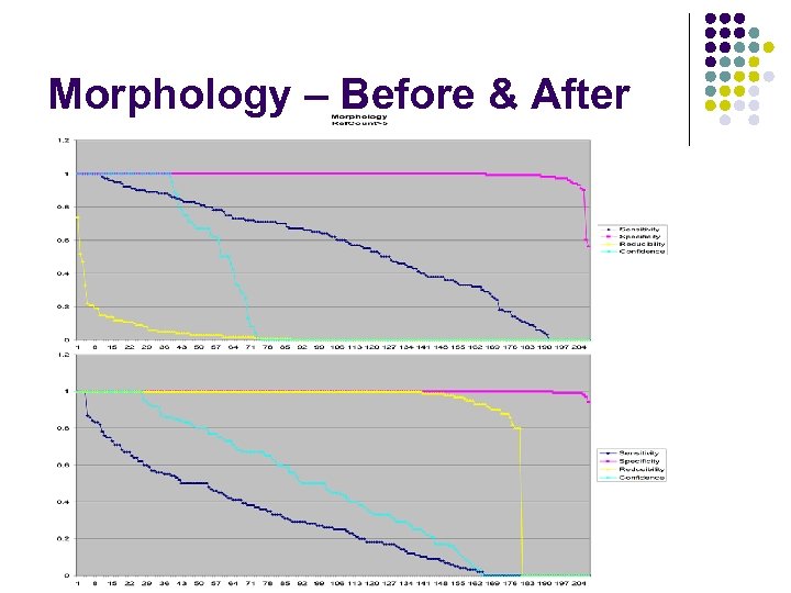 Morphology – Before & After 