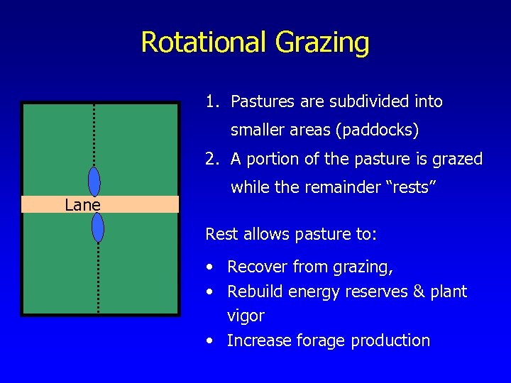 Rotational Grazing 1. Pastures are subdivided into smaller areas (paddocks) 2. A portion of