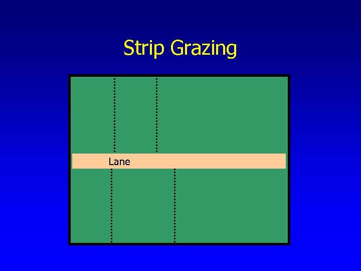 Strip Grazing Lane 