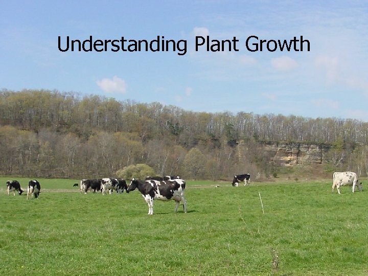 Understanding Plant Growth 