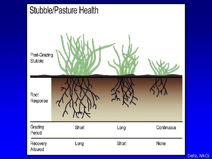 Deitz, NRCS 