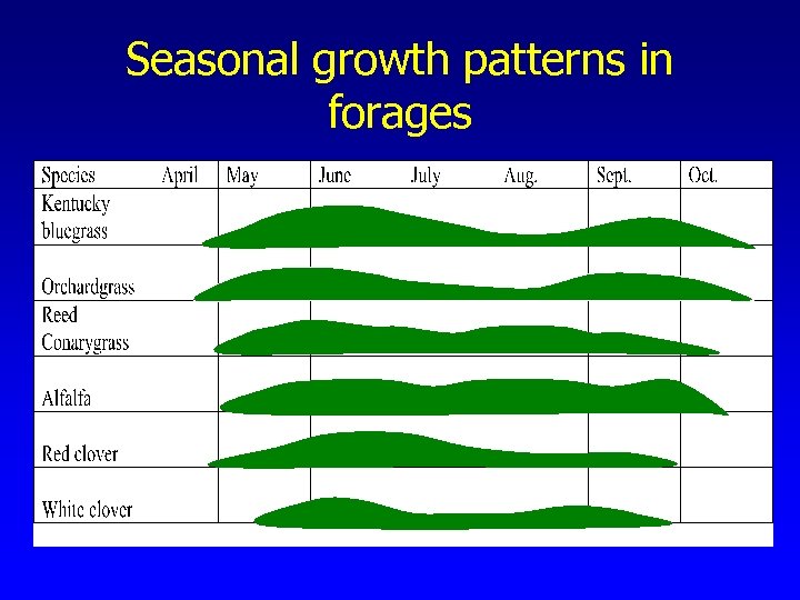 Seasonal growth patterns in forages 