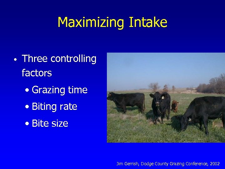 Maximizing Intake • Three controlling factors • Grazing time • Biting rate • Bite