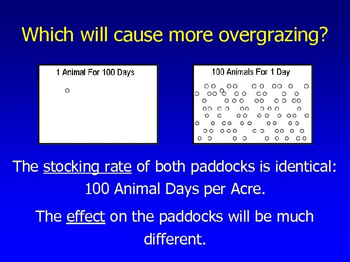 Which will cause more overgrazing? The stocking rate of both paddocks is identical: 100