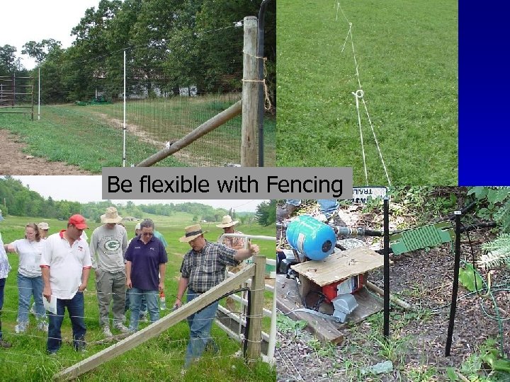 Be flexible with Fencing 