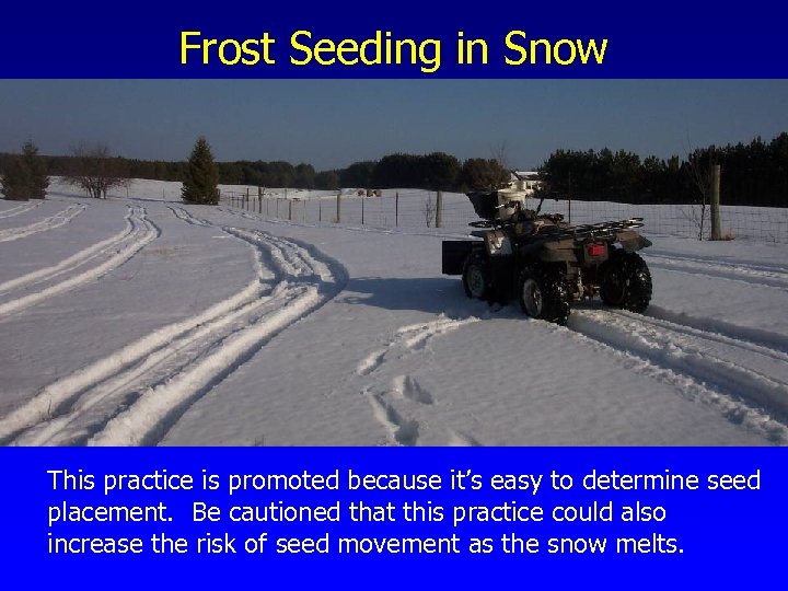 Frost Seeding in Snow This practice is promoted because it’s easy to determine seed