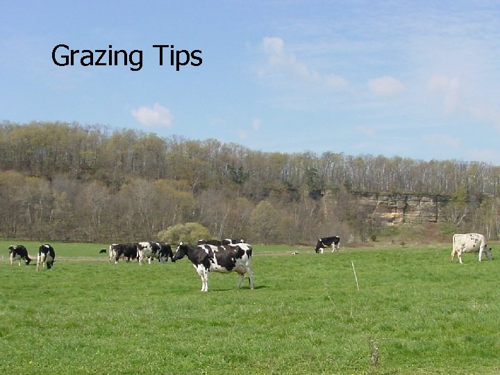 Grazing Tips 