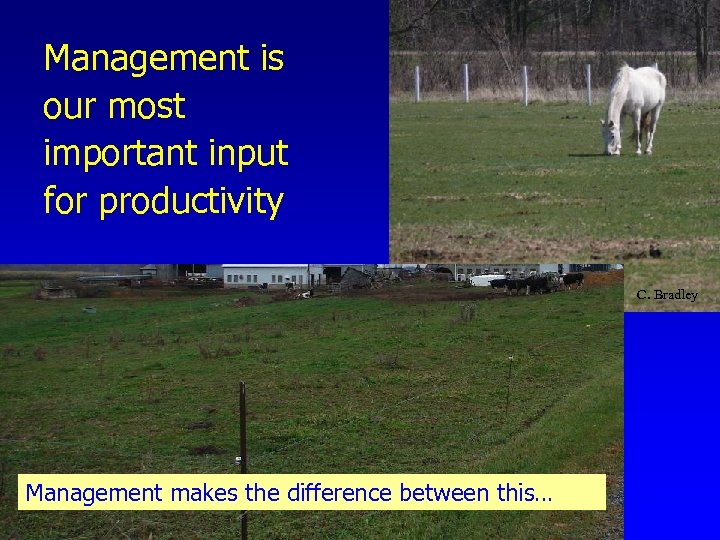 Management is our most important input for productivity C. Bradley Management makes the difference