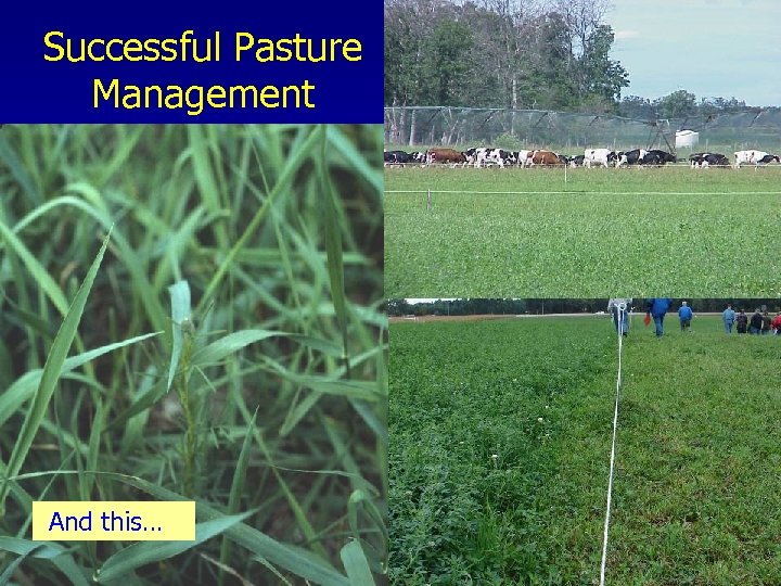 Successful Pasture Management And this… 