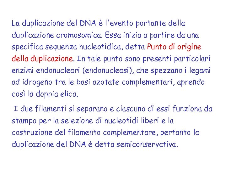 La duplicazione del DNA è l'evento portante della duplicazione cromosomica. Essa inizia a partire
