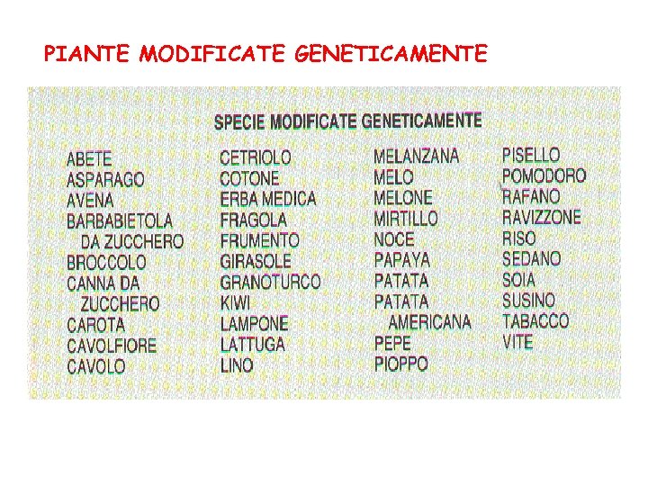 PIANTE MODIFICATE GENETICAMENTE 