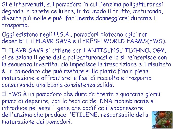 Si è intervenuti, sul pomodoro in cui l'enzima poligatturonasi degrada la parete cellulare, in