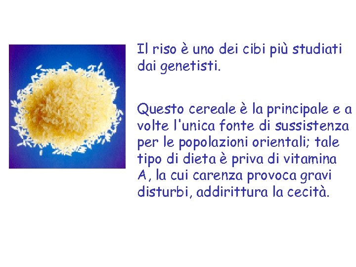 Il riso è uno dei cibi più studiati dai genetisti. Questo cereale è la