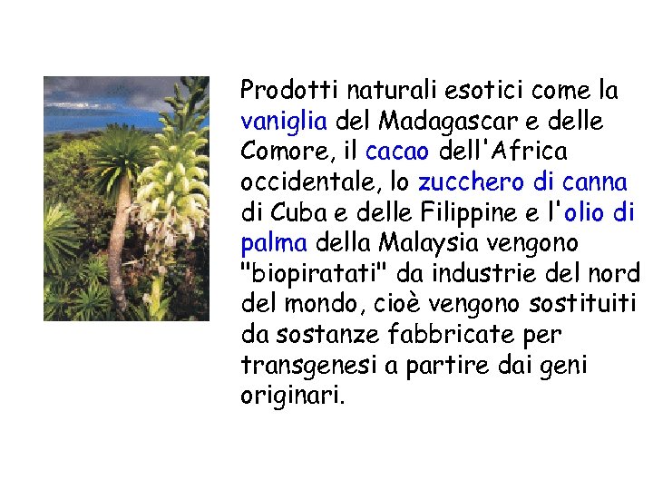 Prodotti naturali esotici come la vaniglia del Madagascar e delle Comore, il cacao dell'Africa