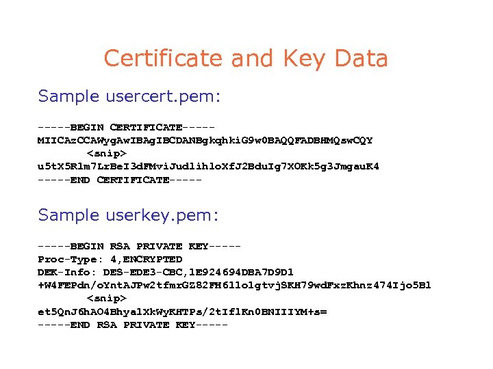 Certificate and Key Data Sample usercert. pem: -----BEGIN CERTIFICATE----MIICAz. CCAWyg. Aw. IBAg. IBCDANBgkqhki. G