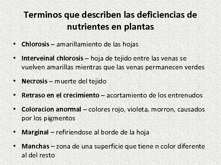 Terminos que describen las deficiencias de nutrientes en plantas • Chlorosis – amarillamiento de