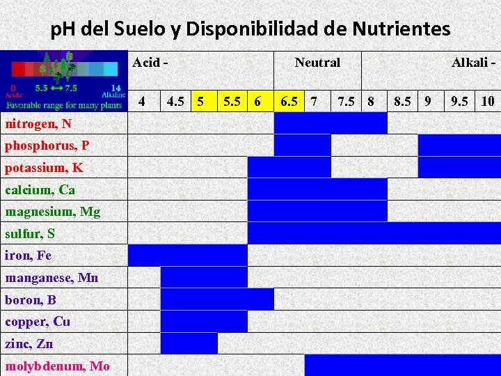 p. H del Suelo y Disponibilidad de Nutrientes Acid - Neutral Alkali - 4