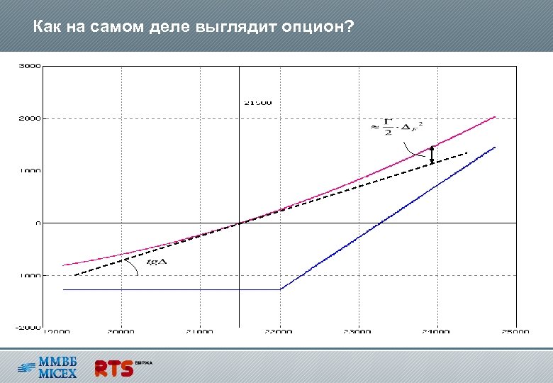 Как на самом деле выглядит опцион? 