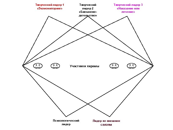 Творческий лидер 1 «Экомониторинг» Творческий лидер 3 «Наказание или лечение» Творческий лидер 2 «Биозаконодательство»
