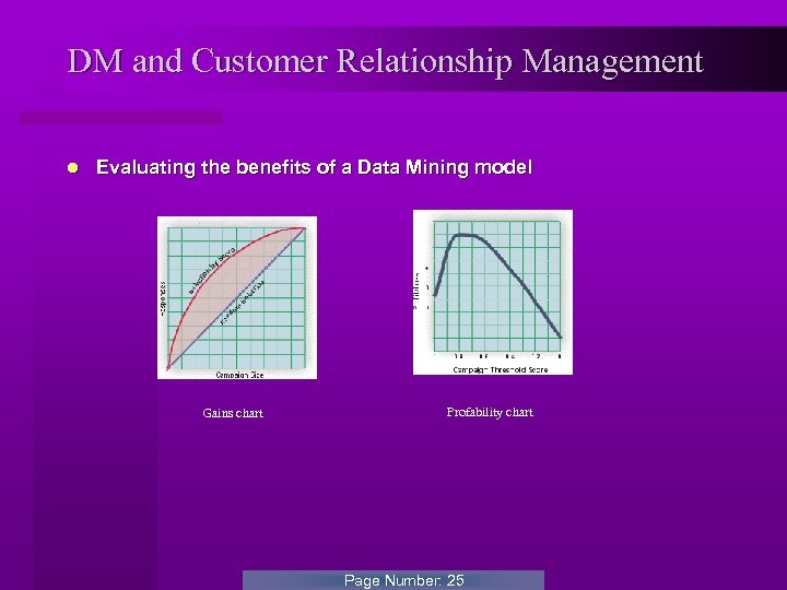 DM and Customer Relationship Management l Evaluating the benefits of a Data Mining model
