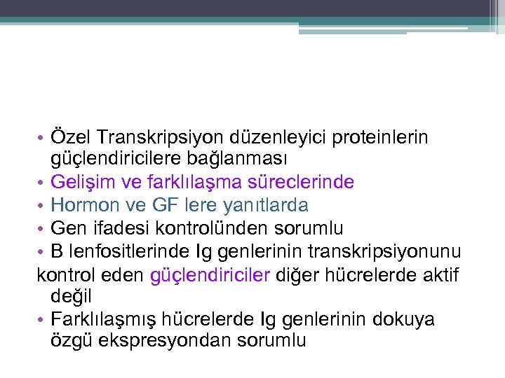  • Özel Transkripsiyon düzenleyici proteinlerin güçlendiricilere bağlanması • Gelişim ve farklılaşma süreclerinde •