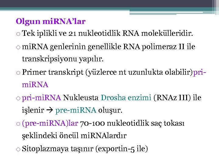 Olgun mi. RNA’lar o Tek iplikli ve 21 nukleotidlik RNA molekülleridir. o mi. RNA