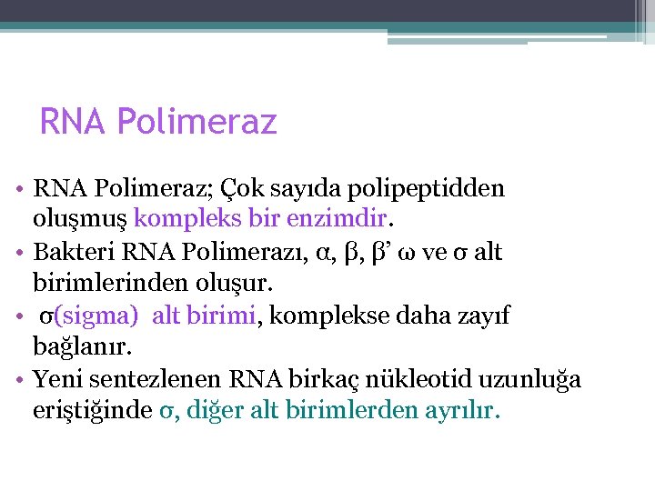 RNA Polimeraz • RNA Polimeraz; Çok sayıda polipeptidden oluşmuş kompleks bir enzimdir. • Bakteri