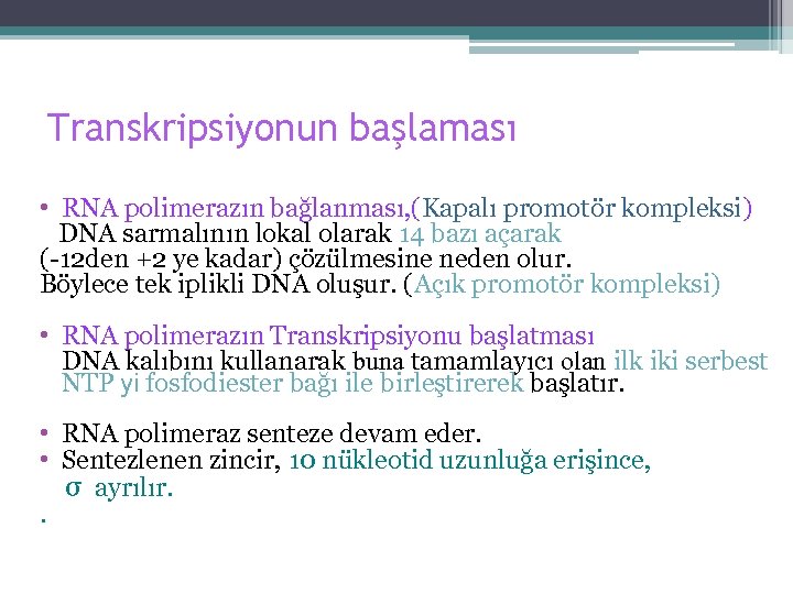 Transkripsiyonun başlaması • RNA polimerazın bağlanması, (Kapalı promotör kompleksi) DNA sarmalının lokal olarak 14