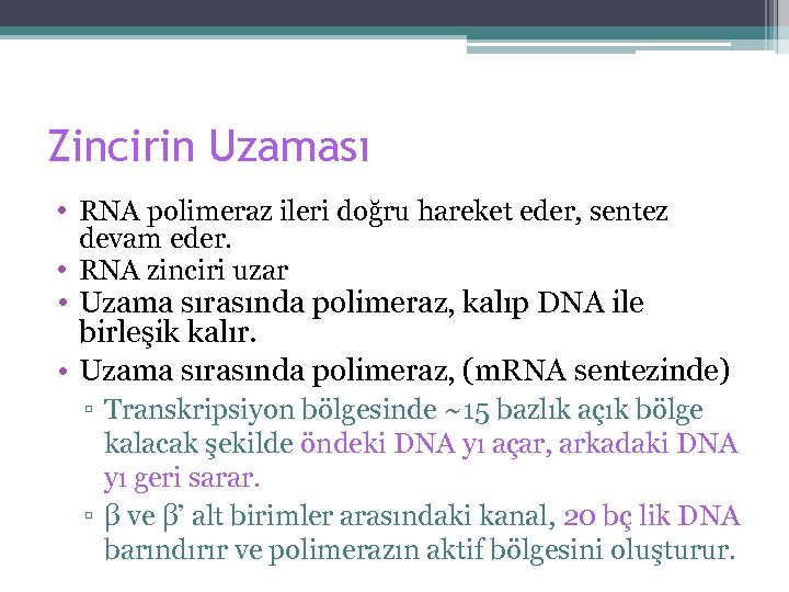 Zincirin Uzaması • RNA polimeraz ileri doğru hareket eder, sentez devam eder. • RNA