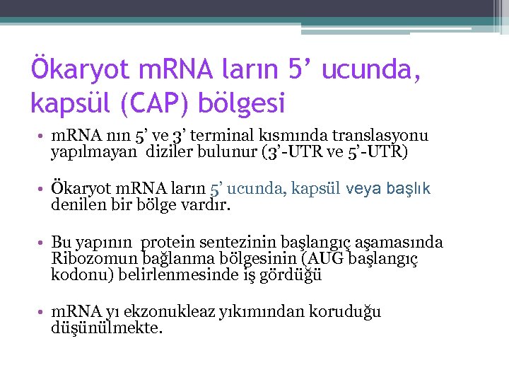 Ökaryot m. RNA ların 5’ ucunda, kapsül (CAP) bölgesi • m. RNA nın 5’